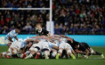 Rugby Championship: Los Pumas se preparan para enfrentar a Australia